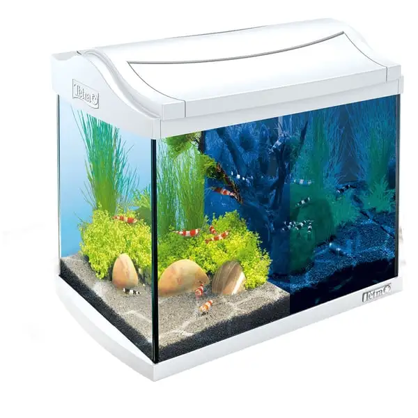 Tetra AquaArt LED Aquarium-Komplett-Set WeiĂ â Bild 2
