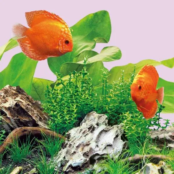 Juwel Leuchtmittel Für Multilux LED Colour – Bild 3