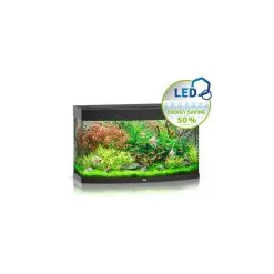 Juwel Komplett-Aquarium Vision 180 LED Ohne Unterschrank
