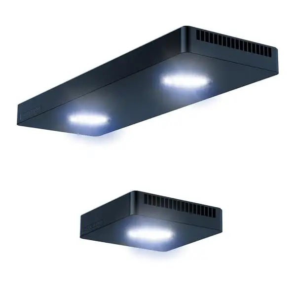 Aqua Medic Spectrus Twin LED – Bild 4