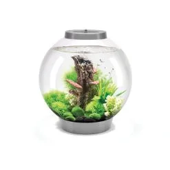 BiOrb CLASSIC 30 LED Silber