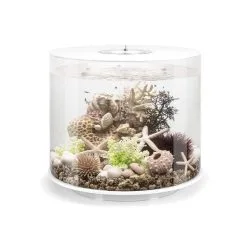 BiOrb TUBE 35 LED WeiĂ