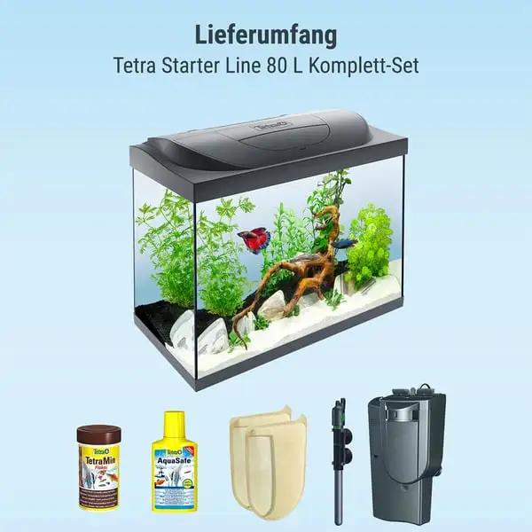 Tetra Starter Line LED Aquarium 80L – Bild 2
